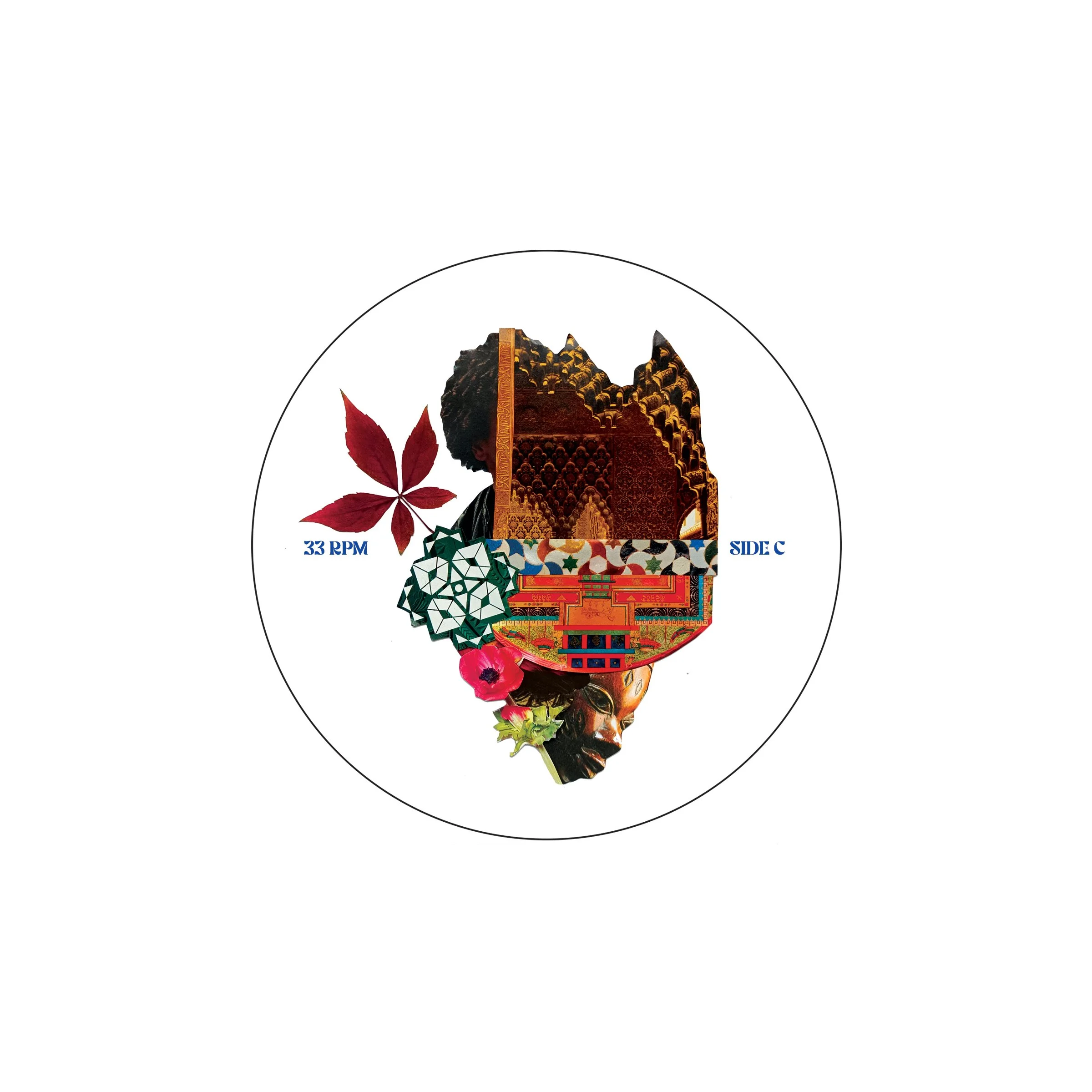 Shop — DESIGN-DIVERSITY.ORG
